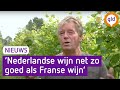 Er komt steeds betere wijn uit de Achterhoek