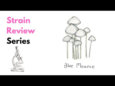 Blue Meanie Magic Mushrooms: Exploring the Vivid Coloration & Unique Chemistry