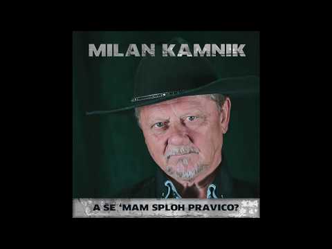 Milan Kamnik - Iskanje