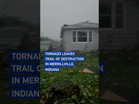 Tornado leaves trail of destruction in Merrillville, Indiana