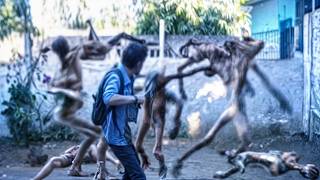 Se esses encontros pertubadores não tivessem sido filmados, ninguém teria acreditado!
