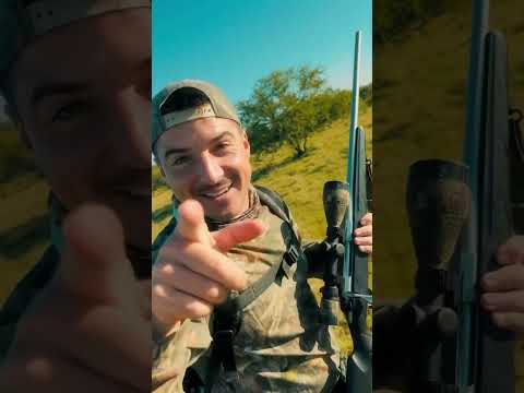 Sauce, Corrientes. Ciervo Axis #caza #hunting #hunter #hunterxhunter #wildlife #outdoors #deer