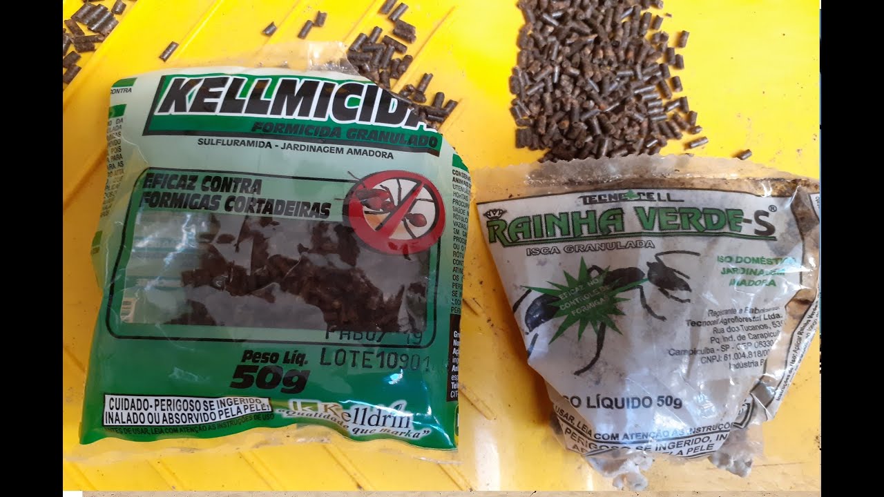 Watch Now Como usar iscas para eliminar formiga cortadeira (Saúva) Como usar iscas para eliminar formiga cortadeira (Saúva)