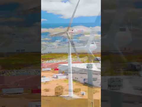 Windmill Video