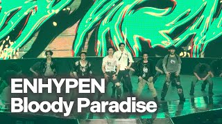 Cover art for Bloody Paradise