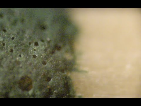 Match Stick Before And After Under A Microscope!