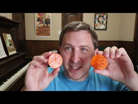 Fuyu vs Tanenashi Persimmons