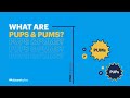 What Are PUPs And PUMs What S The Difference Potentially Unwanted Program Basics