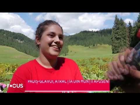 Padis Glăvoi, atracția din munții Apuseni