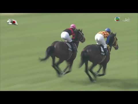 2018 Midosuji Stakes - Ho O Dream (好夢來) - M.Demuro