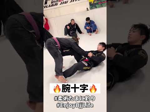 引き込んでからの腕十字も好き!!#柔術 #格闘技 #柔道 #腕十字 #三角絞め #ブラジリアン柔術 #enjoybjjlife