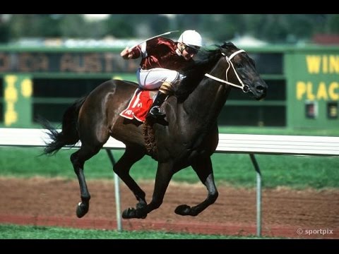 1988 MVRC William Reid Stakes _ Vo Rogue