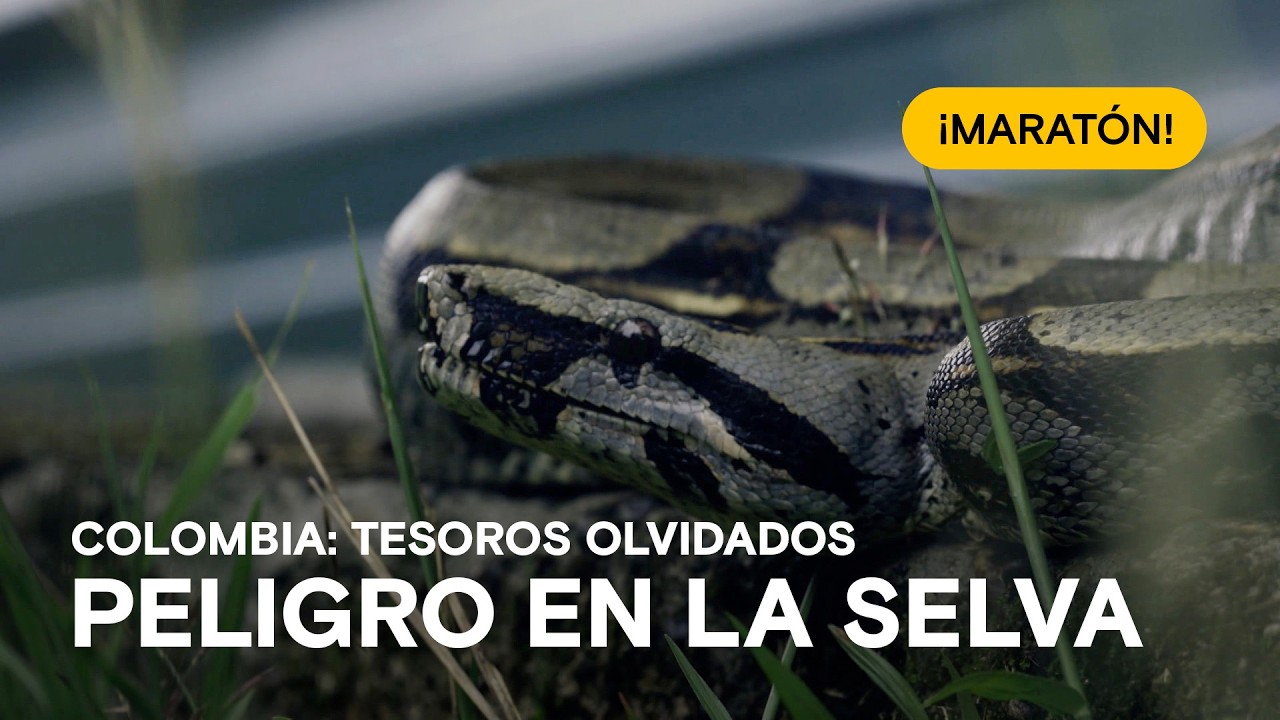 El Alcatraz de la selva colombiana y el gigante de la medicina abandonado 🗺️ Tesoros olvidados