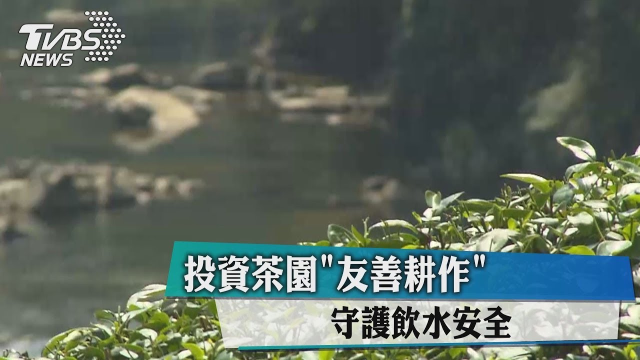 投資茶園「友善耕作」 守護飲水安全