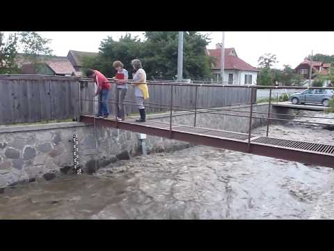 Viitură și măsurători hidrometrice pe Râul Frumoasa (Frumoasa, Harghita, România)