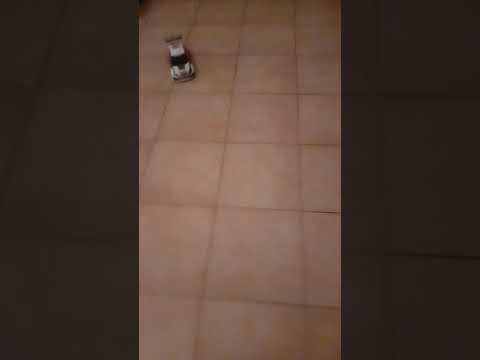 Presentazione ford mgm 60 rally team