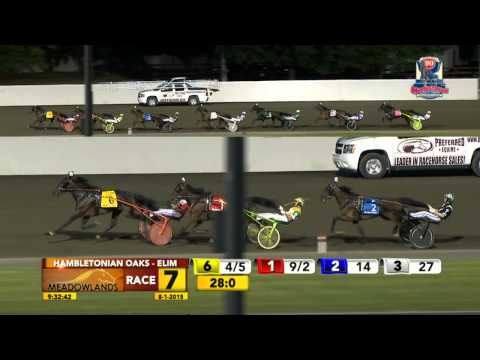 Hambletonian Oaks Elimination #2 - Spirit To Win - August 1, 2015