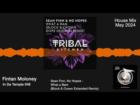 Fintan Moloney - In Da Temple (House Mix - June 2024)