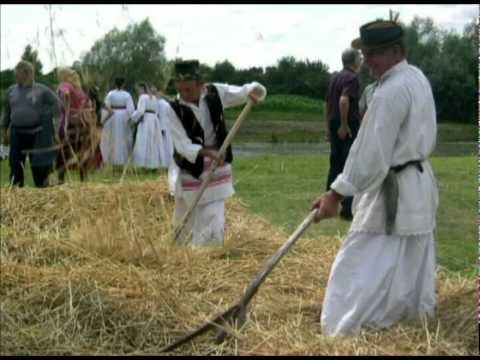 Za 70 godina u Slavoniji neće orati Slavonci !!