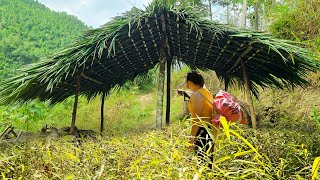 Download lagu A incredible transformation - homeless girl spent 6 days restoring an abandoned house in the woods. mp3