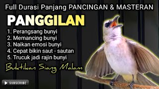 Download lagu TRUCUKAN GACOR MEMANGGIL || pancingan, masteran terbaik untuk trucuk dan burung lainya mp3