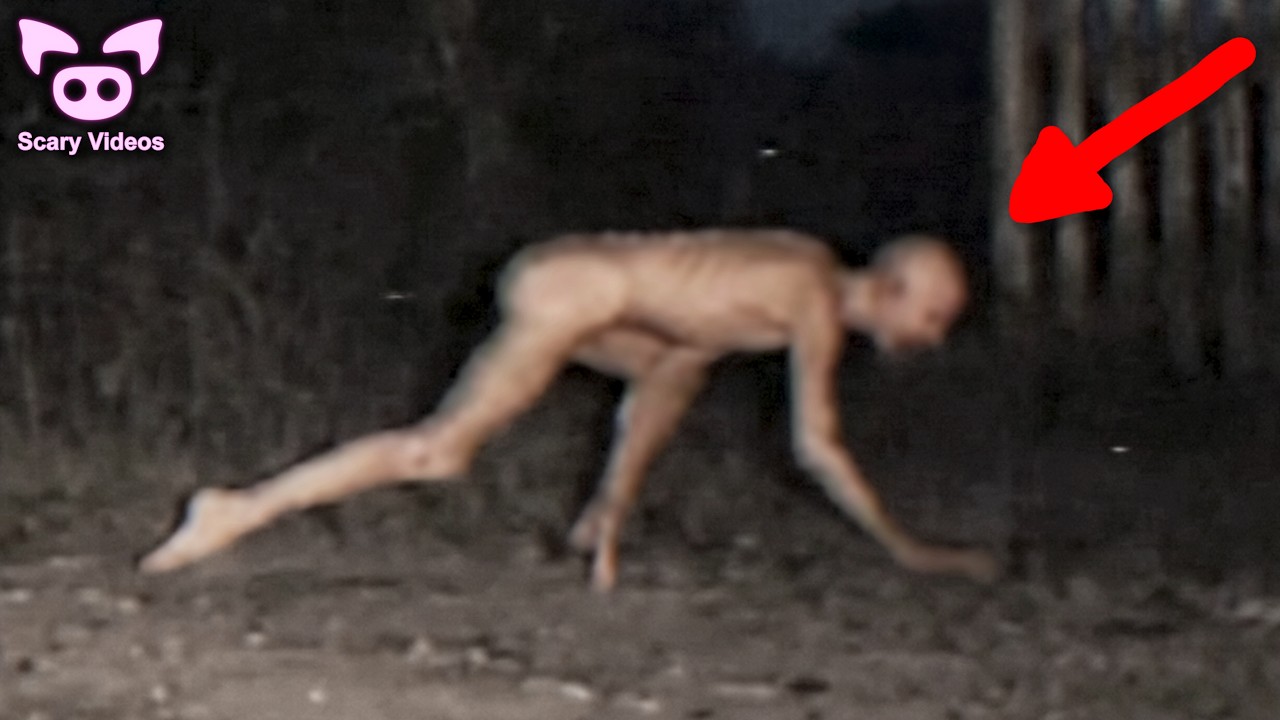 SKINWALKER SIGHTINGS That Started a Global Panic
