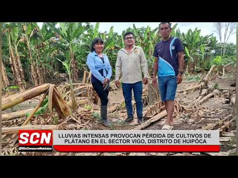 DESBORDE DEL RÍO TARHUACA INUNDÓ CULTIVOS DE PLÁTANO EN PADRE ABAD