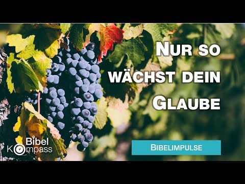 Bibelimpulse I NUR SO WÄCHST DEIN GLAUBE # Michael Dörnbrack