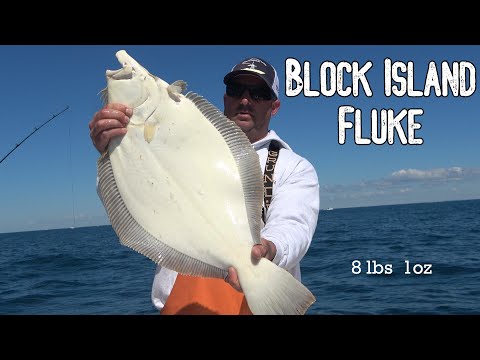 Fluke Fishing Improving | 8 lb Block Island Fluke