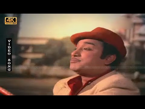 நான் தன்னந்தனி காட்டு ராஜா பாடல் | naan thannanthani kattu raja song | Sivaji old song .