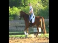 CSP Bingo Reiten 12 März 2011