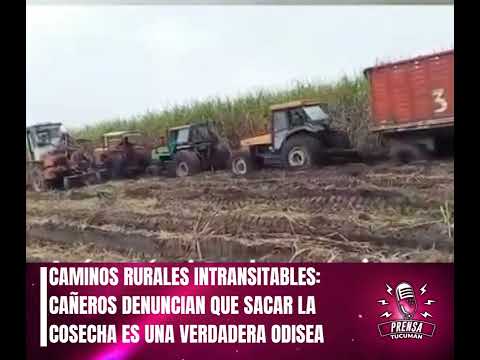 CAMINOS RURALES INTRANSITABLES: CAÑEROS DENUNCIAN QUE SACAR LA COSECHA ES UNA VERDADERA ODISEA