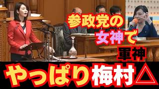 【国旗損壊罪】参政党の女神が日の丸の尊厳を守る！【梅村みずほ】