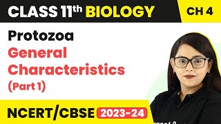 Protozoa: General Characteristics (Part 1) - Animal Kingdom | Class 11 Biology/NEET