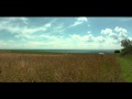 STING Fields of Gold HQ HD