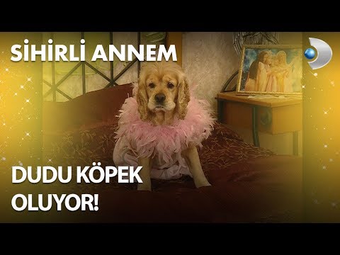 Dudu, Köpek Oluyor! - Sihirli Annem 106. Bölüm