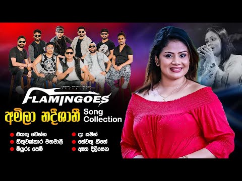 Amila Nadeeshani Song Collection | Ahungalla Flamingoes