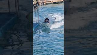 WOW! Pushed by a Dolphin Ocean World Star Princess | Prince Cruise Line | Star Princess Review 2026