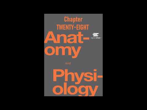 OpenStax Anatomy And Physiology Audiobook Chapter 28 - Read Along