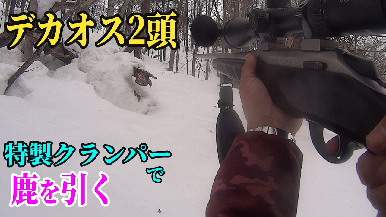 デカオス2頭  鹿べえ特製クランパーで鹿を引く !