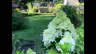 Late July Garden Tour 2025