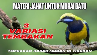 Download lagu RAHASIA 3 TEMBAKAN PEDAS MATERI PILIHAN JURI CUCAK CUNGKOK MASTERAN PALING DI CARI DARI BURUNG INI mp3