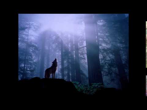 ENTO - ΜΙΑ ΜΕΡΑ ΘΑ ΤΟΥΣ ΔΩ