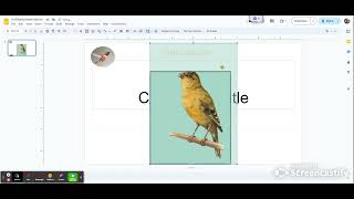 How to make a Square image into a Circular Image - Google Slides