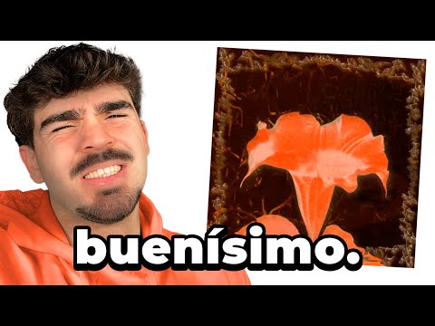 REACCION a ARRIVEDERCI - 7loseey, balaclavx