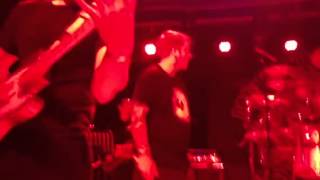 Dog Fashion Disco - Vertigo Motel (live)