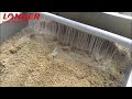 How To Wash After Sesame Peeling