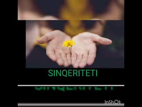 VLERAT NJERËZORE. SINQERITETI.