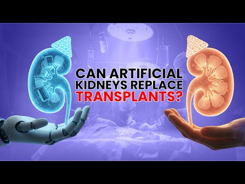 Artificial Kidney Future