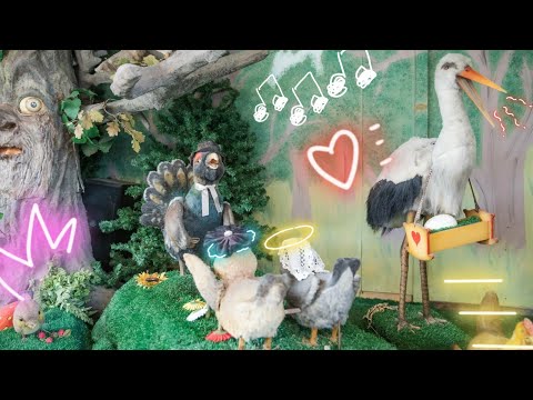 Die Vogelhochzeit im Freizeitpark Schloss Beck - Kinderlieder zum Mitsingen | Nursery Rhymes